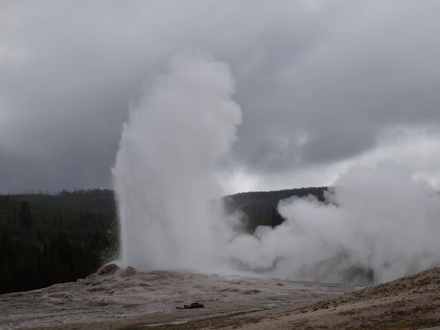 Image 17