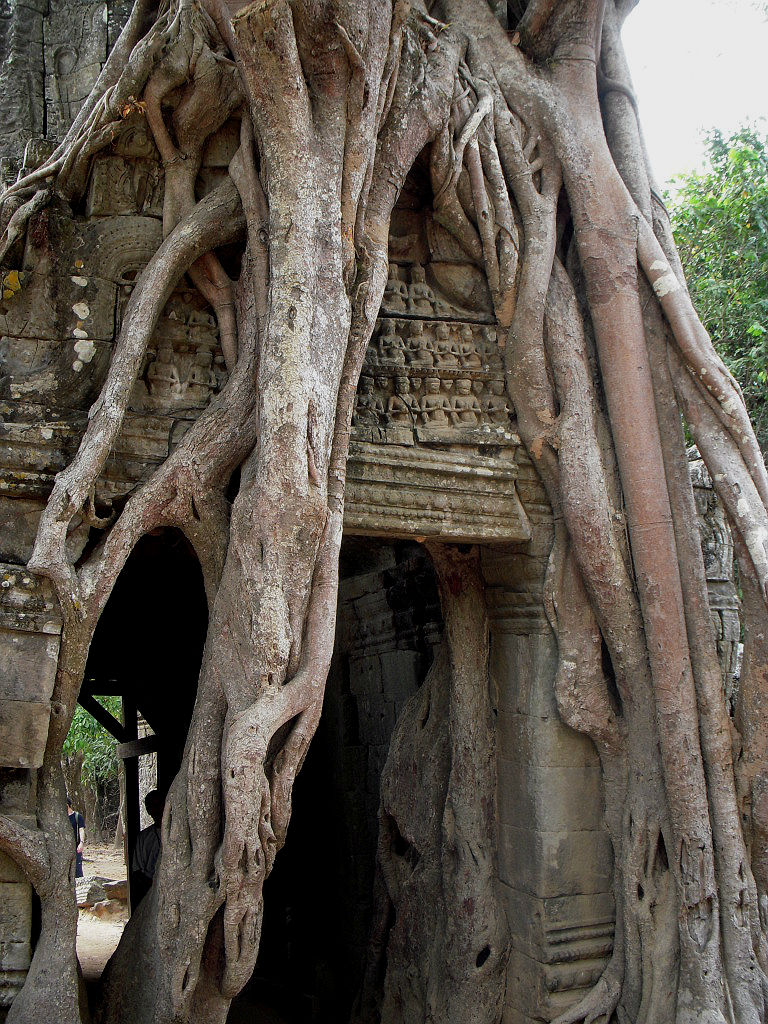 Ta Prohm