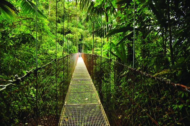 Open your travel horizons in 2015