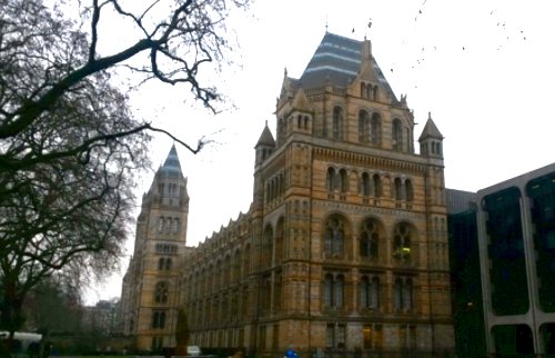Natural History 2
