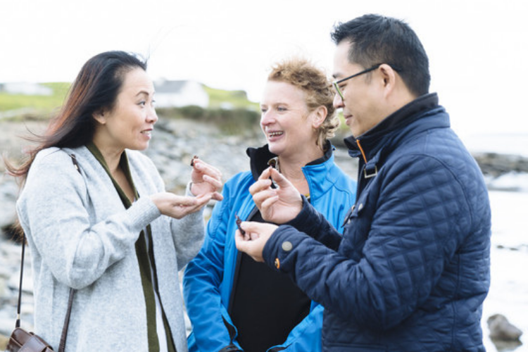 Wild Food Foraging