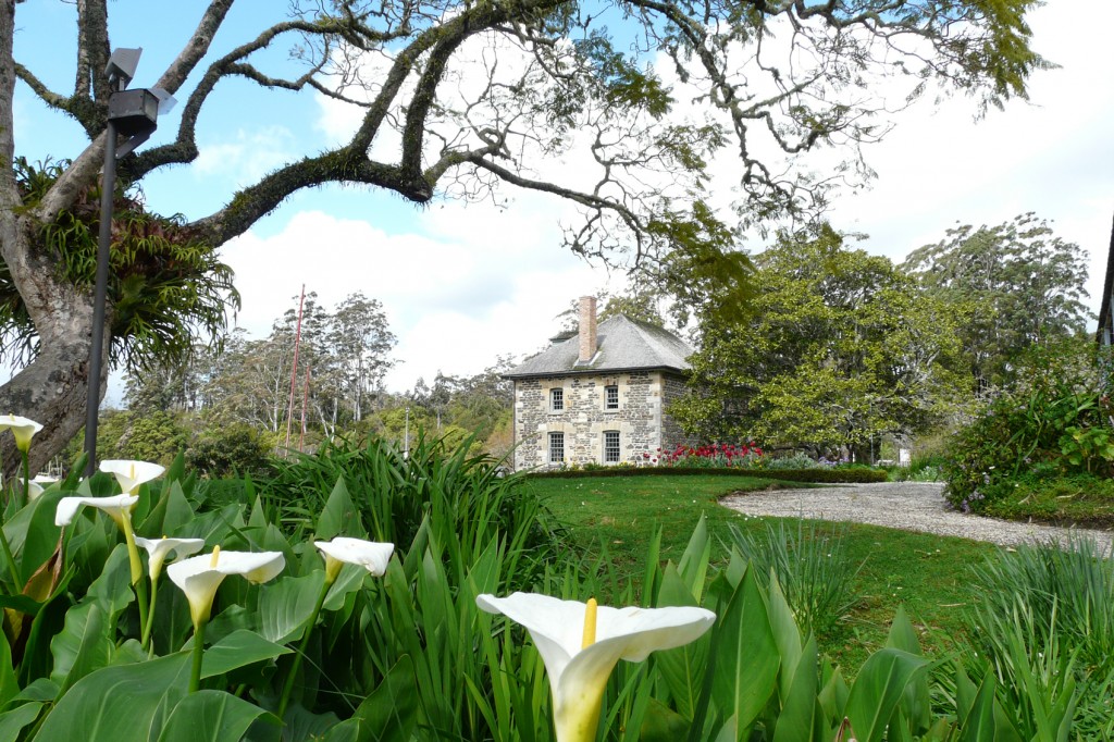 Kerikeri Vineyards