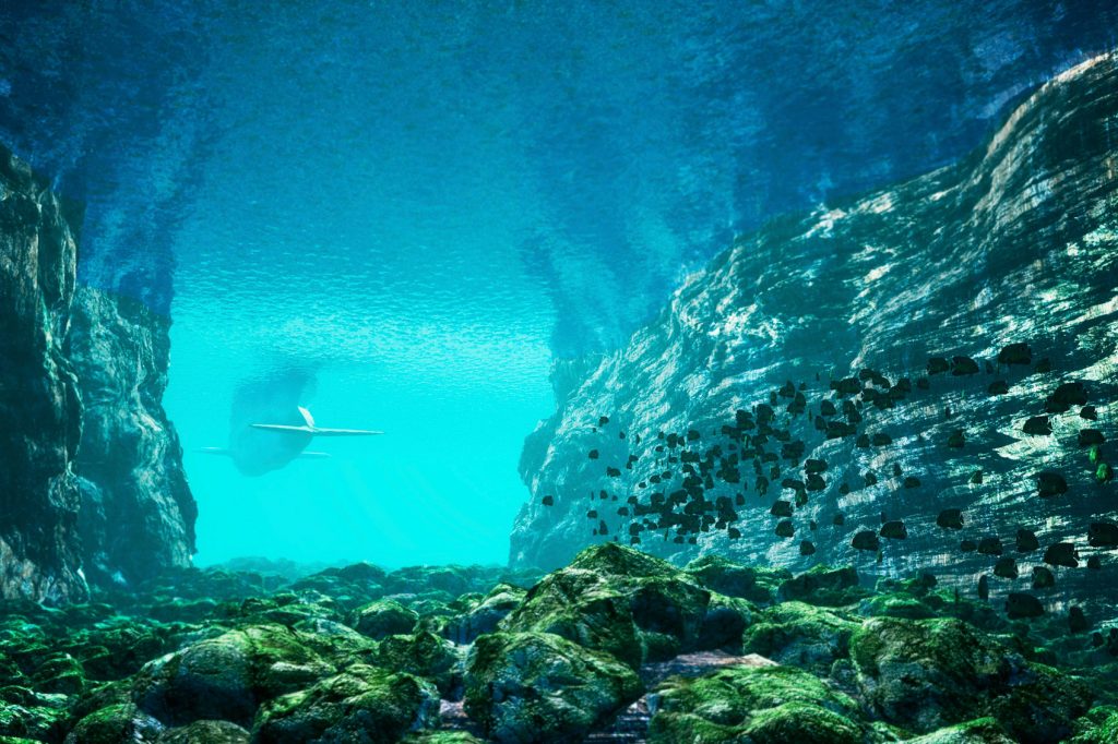 An underwater canyon