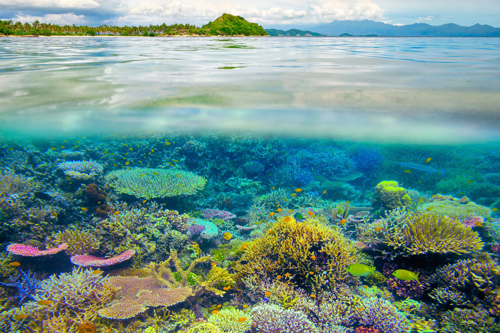 Celebrating World Oceans Day with TreadRight