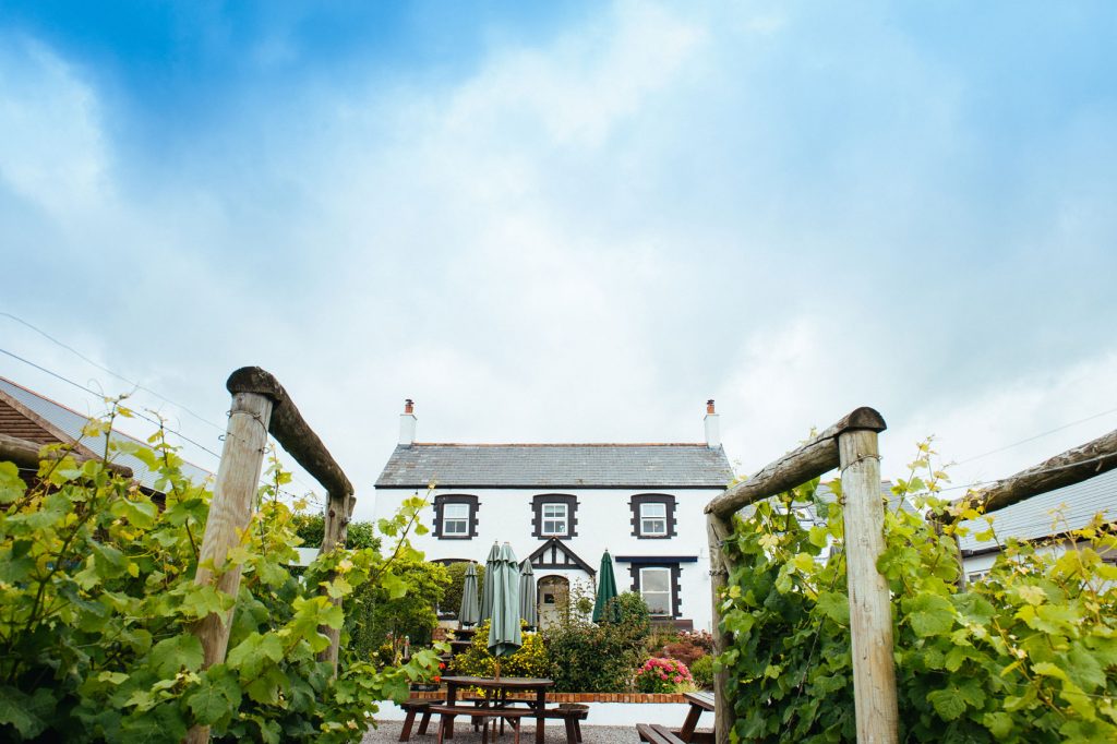 British Vineyards 