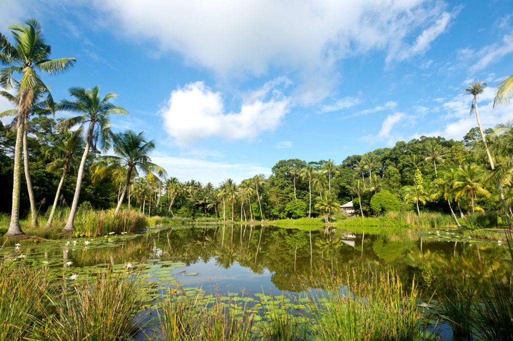 Green Spaces in Singapore