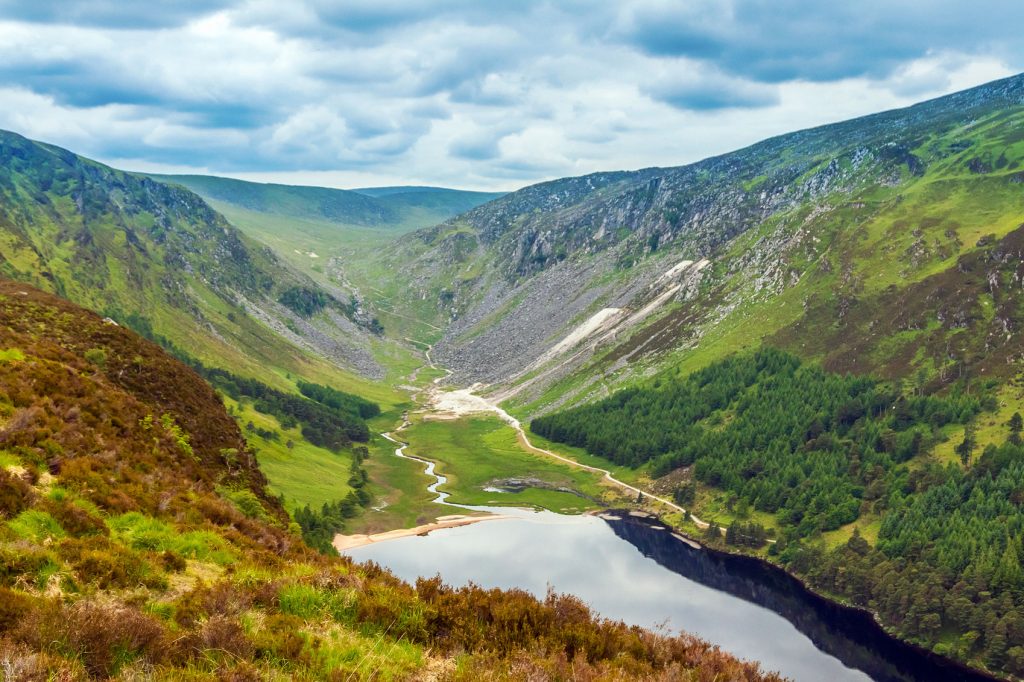 Taste of Ireland