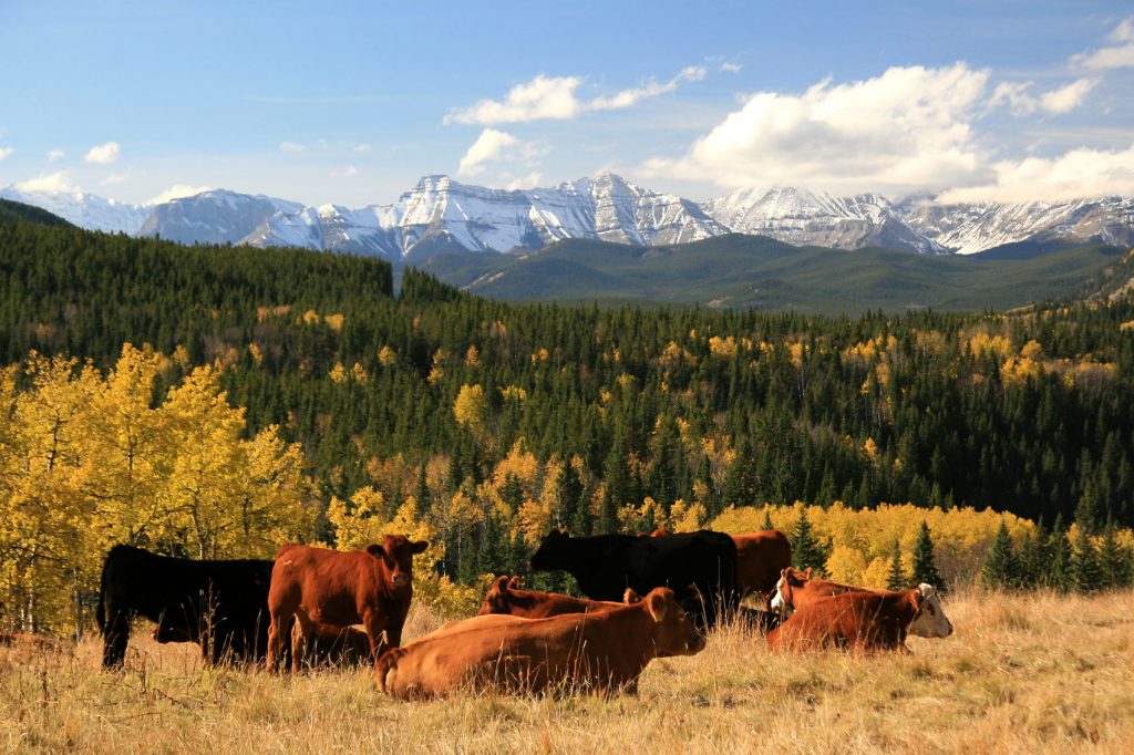 Boundary Ranch