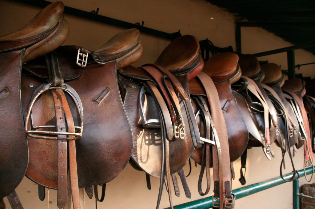 Polo in India