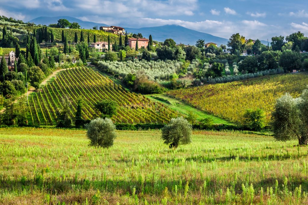 Fattoria di Maiano 