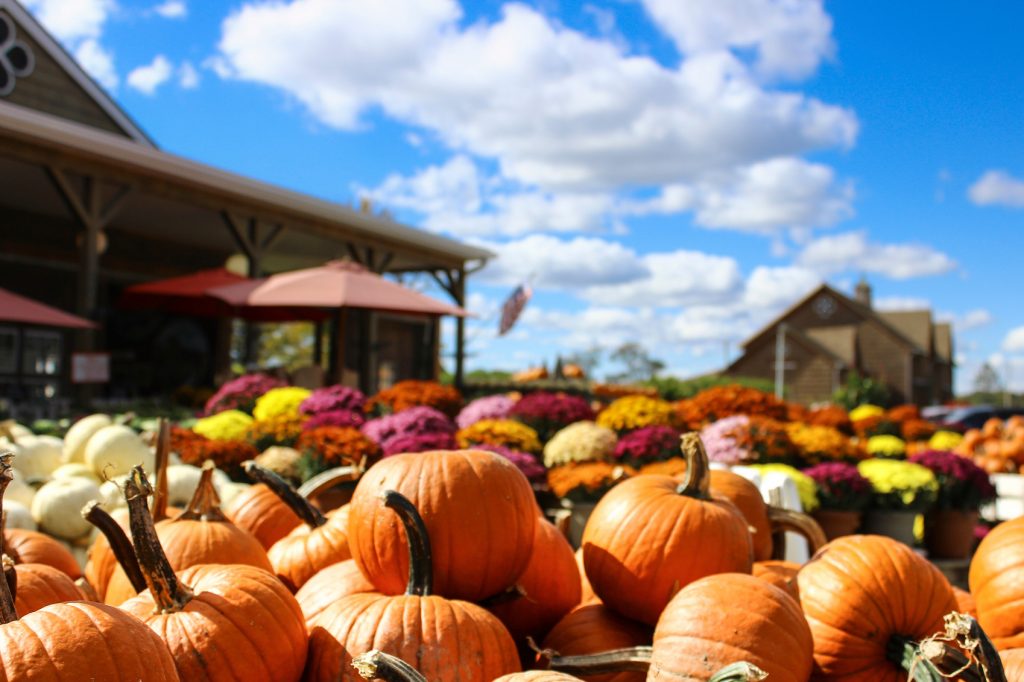 Halloween in the United States