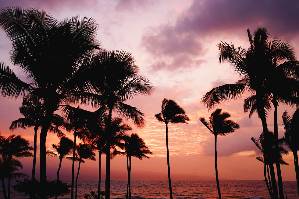 Hawaii - winter sun
