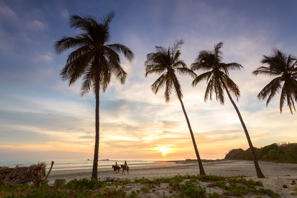 Nicoya Peninsula, Costa Rica - winter sun