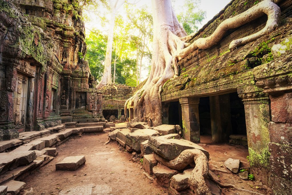 Places to Travel to in January