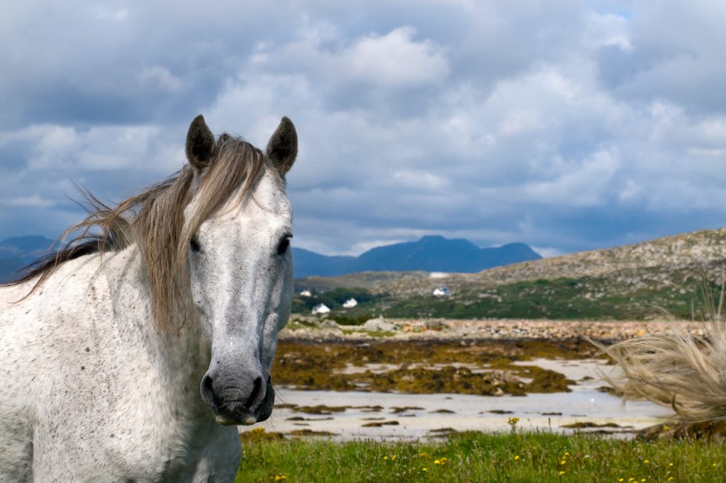 Images of Ireland