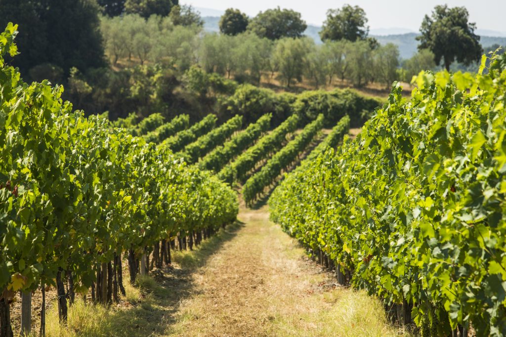 Guide to Tuscany
