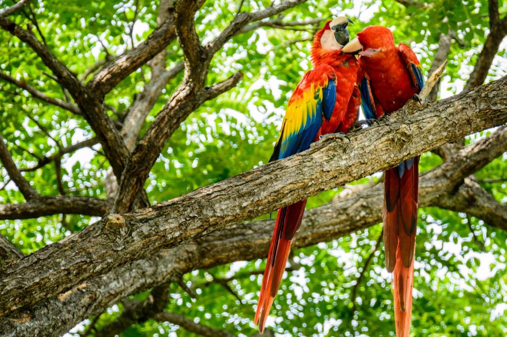 Best Places For Family Escapes