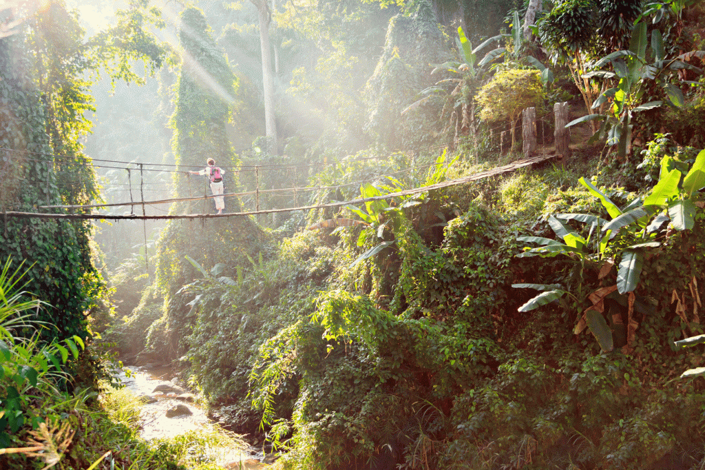 inspirational travel quotes