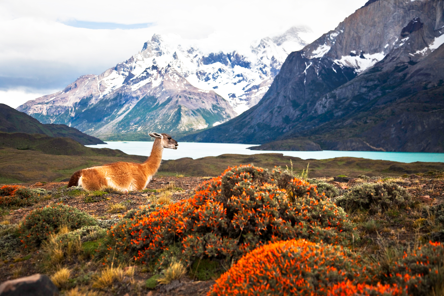 mere og mere Nedgang nødsituation 13 Photos that Prove South America is Home to the World's Most Amazing  Natural Wonders - Real Word