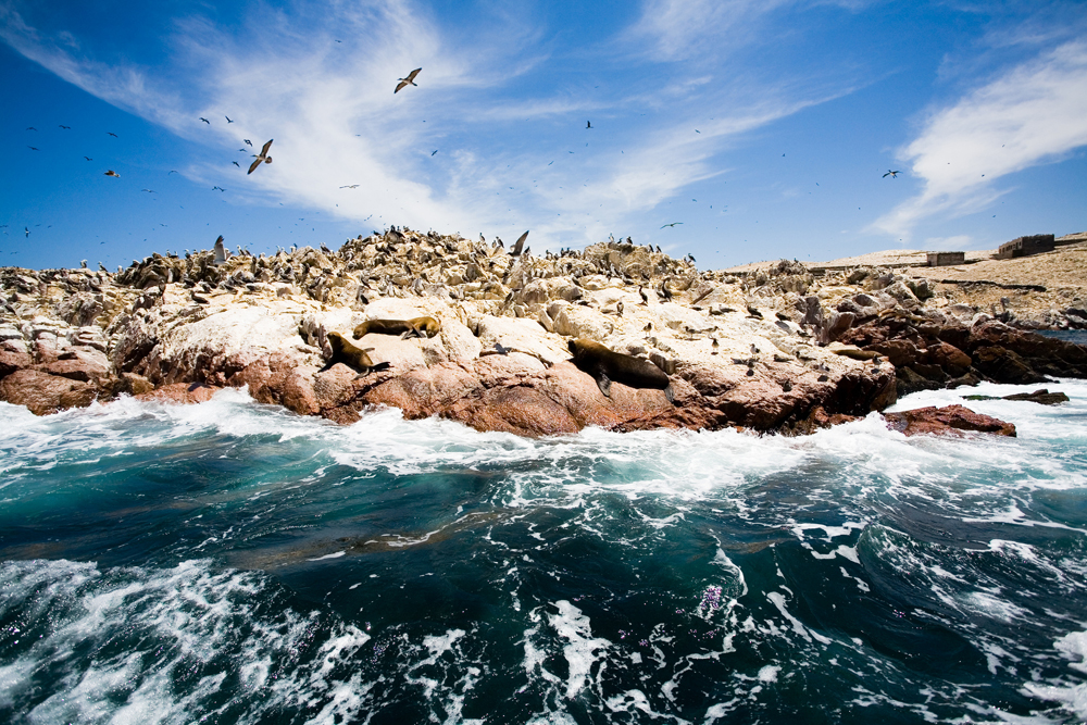 Amazing natural wonders Ballestas-www.istockphoto.comgbphotoballestas-islands-peru-gm147268079-12638059-PIKSEL