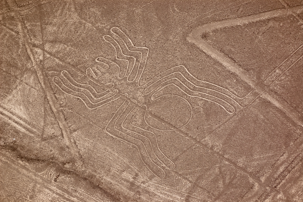 Amazing natural wonders Nazca-Lines-www.istockphoto.comgbphotospider-nazca-lines-gm118408972-10818024-ArtMarie