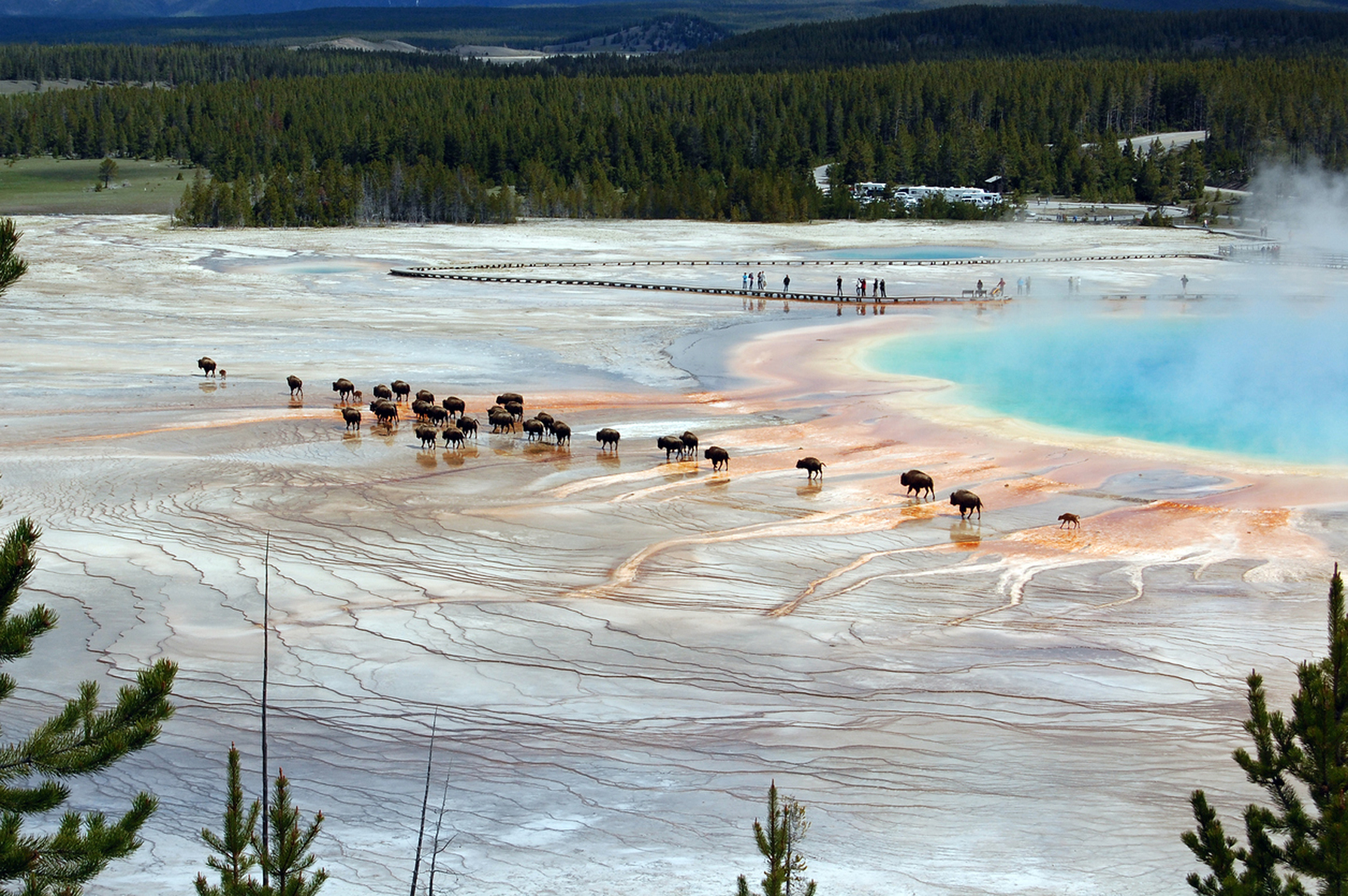  Wildlife Destinations for Nature Lovers