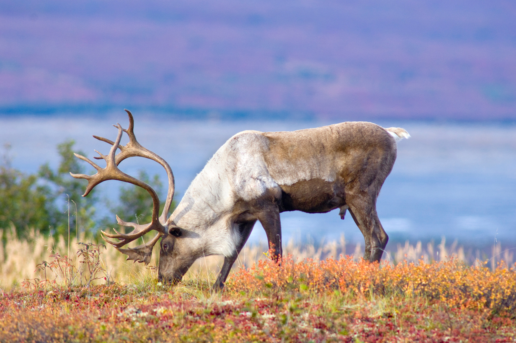  Wildlife Destinations for Nature Lovers