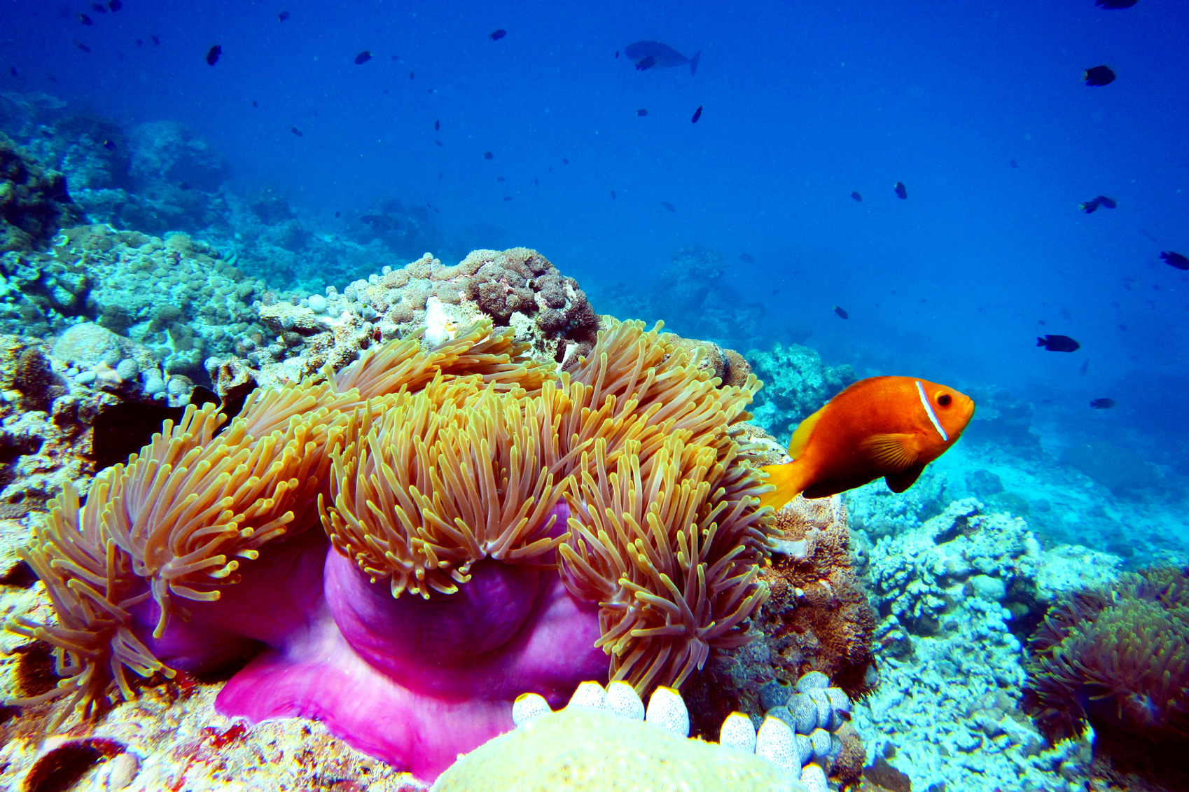  Wildlife Destinations for Nature Lovers