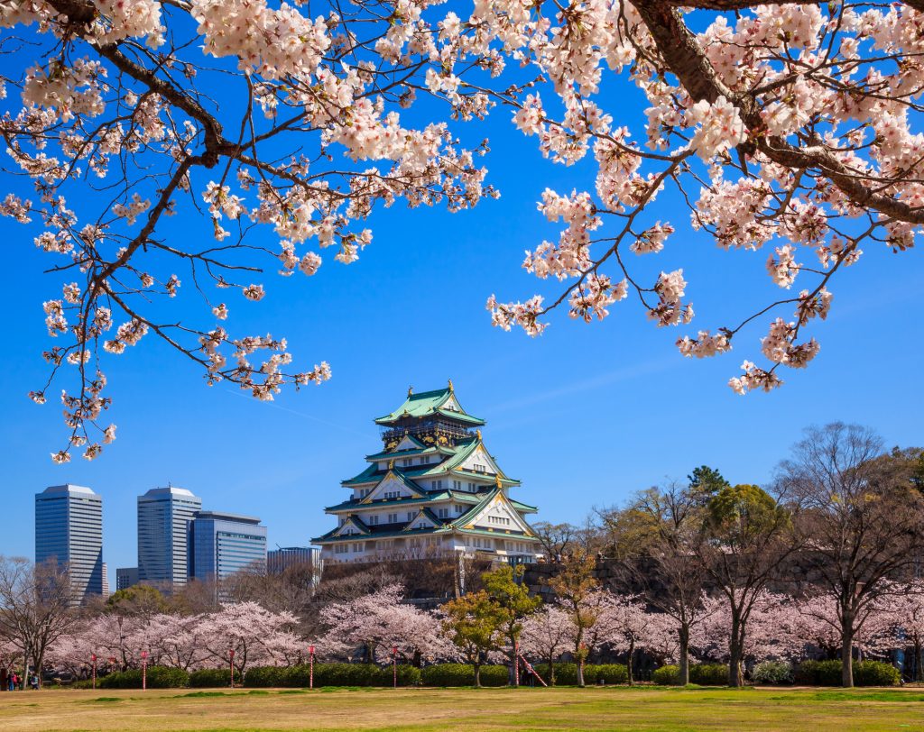 Japanese landscape shop