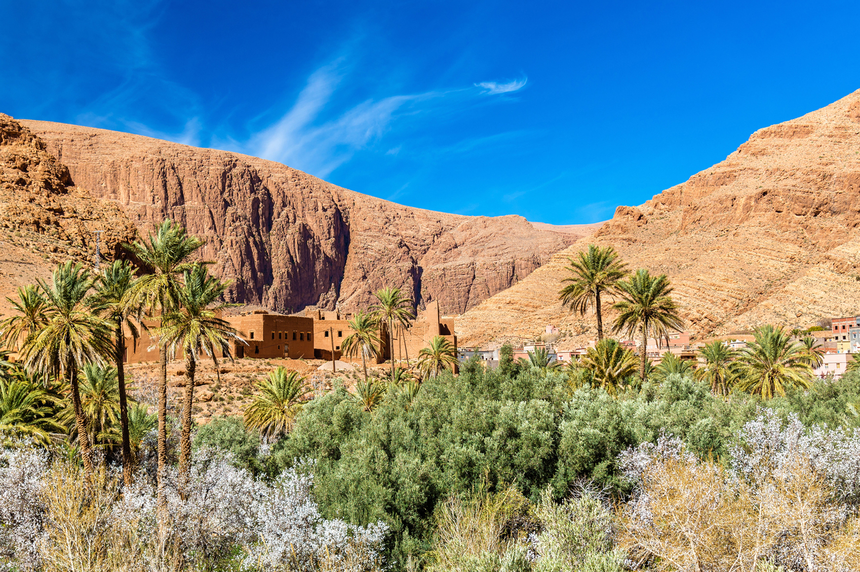real Morocco Oasis-of-the-Rodra-River-www.istockphoto.com_gb_photo_oasis-of-the-todra-river-at-tinghir-morocco-gm653102310-118609051-Leonid-Andronov