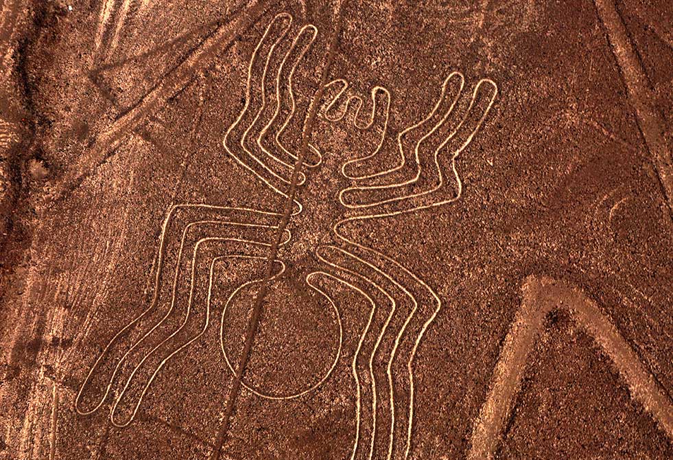 Nazca lines spider Peru