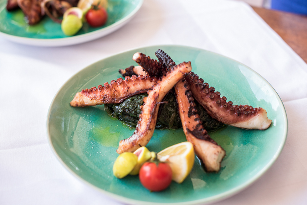 croatia squid hvar