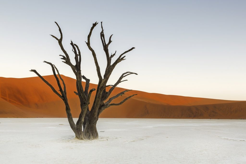 if you're wondering where to travel in 2020 head to Deadvlei, Namibia