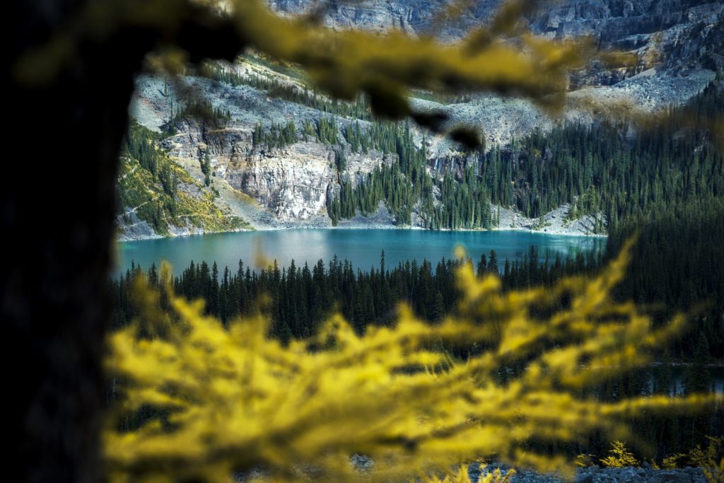 glacier lake in British Colombia. Canada is one of the top 2020 travel destinations