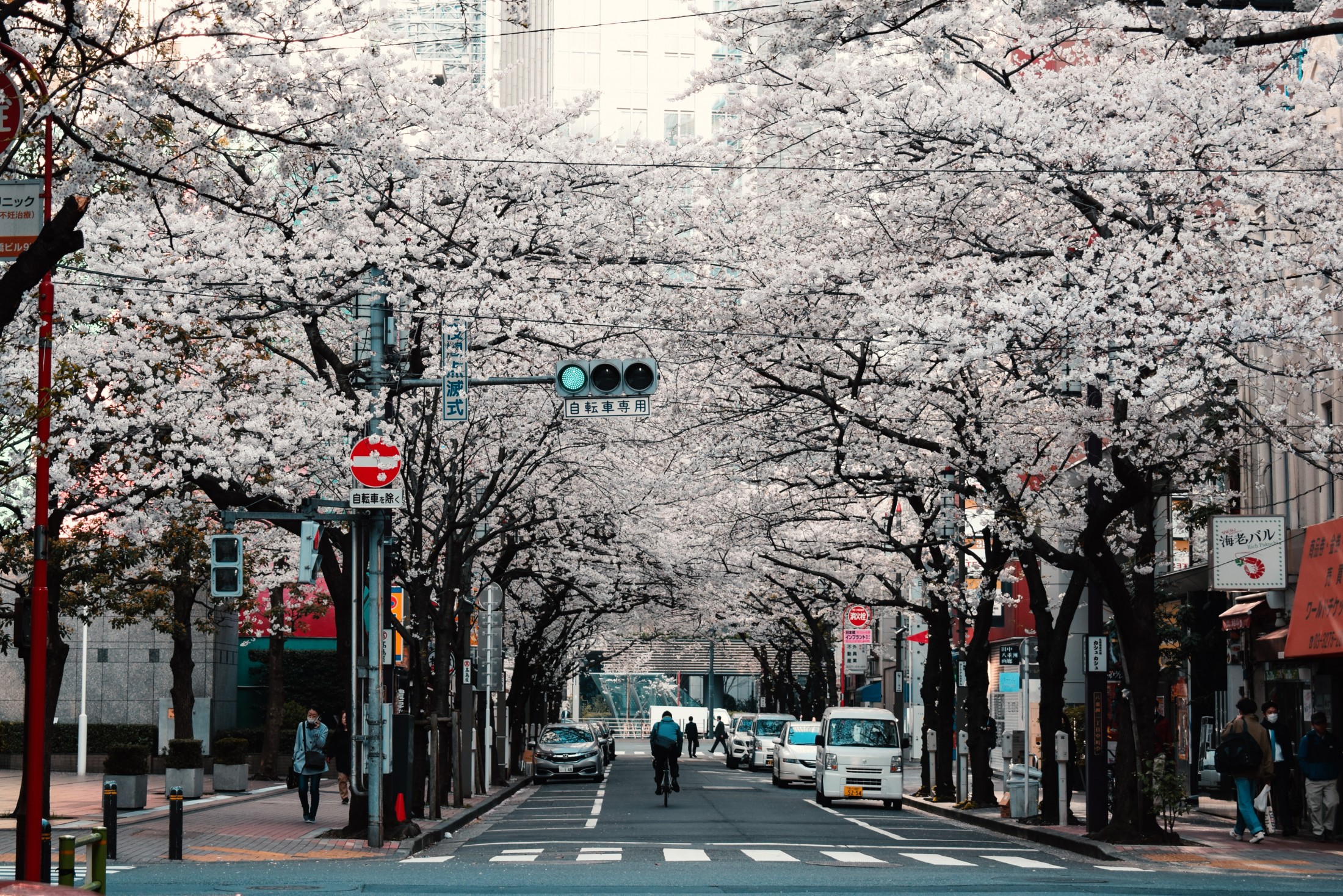 guide to tokyo from trafalgar