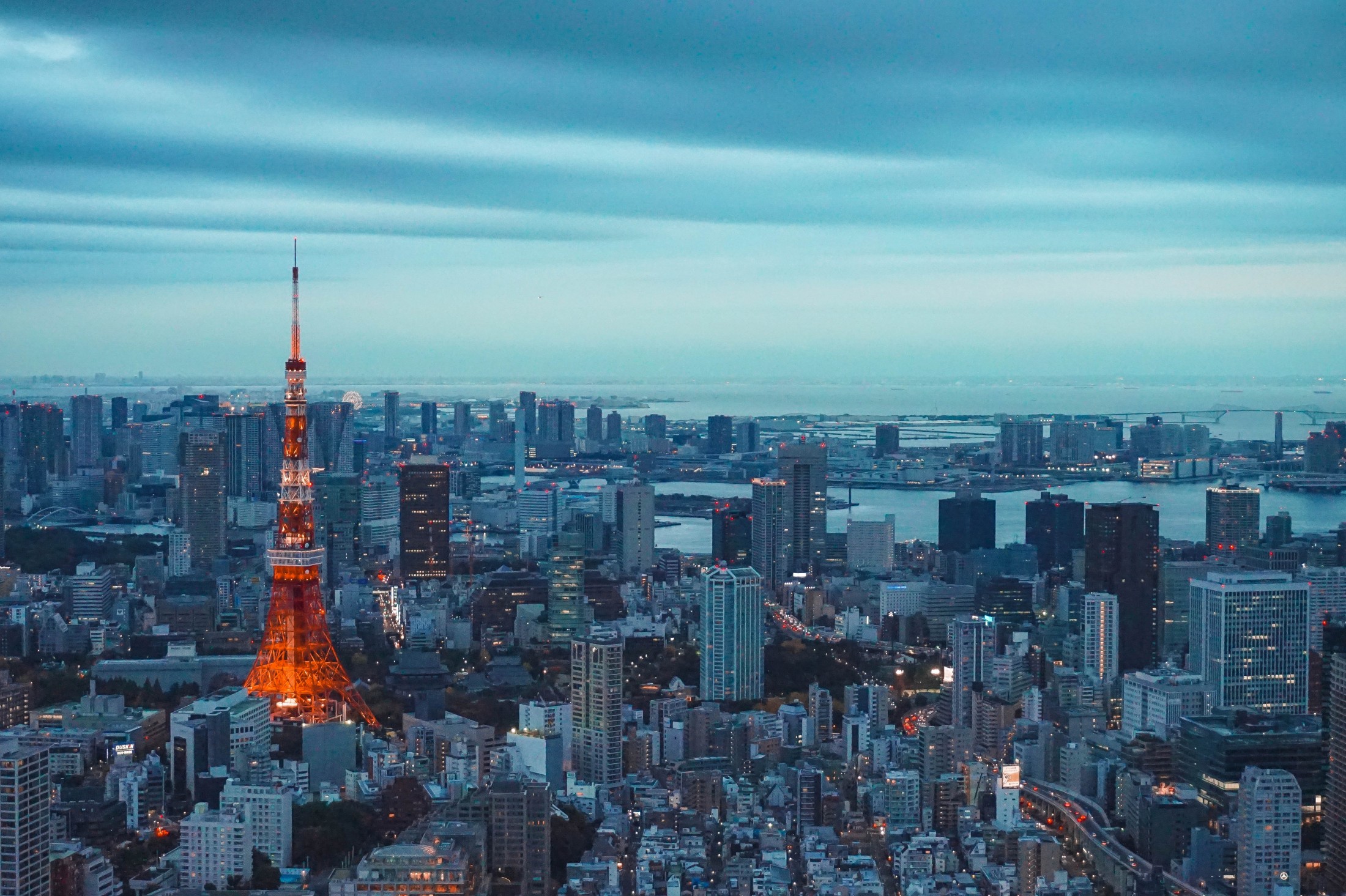 tokyo from above