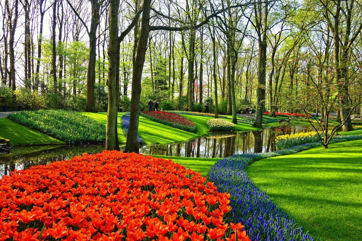13 Useless But Fun Facts About The Netherlands That May