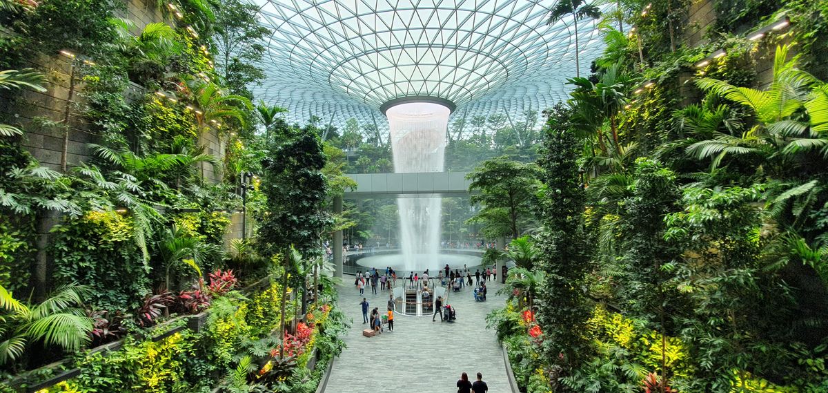 In Pics: A first look at Changi Airport's high-tech, swanky Terminal 4