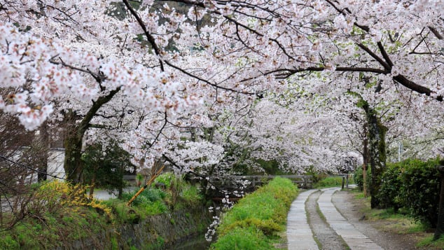 philosophers walk, kyoto, japan