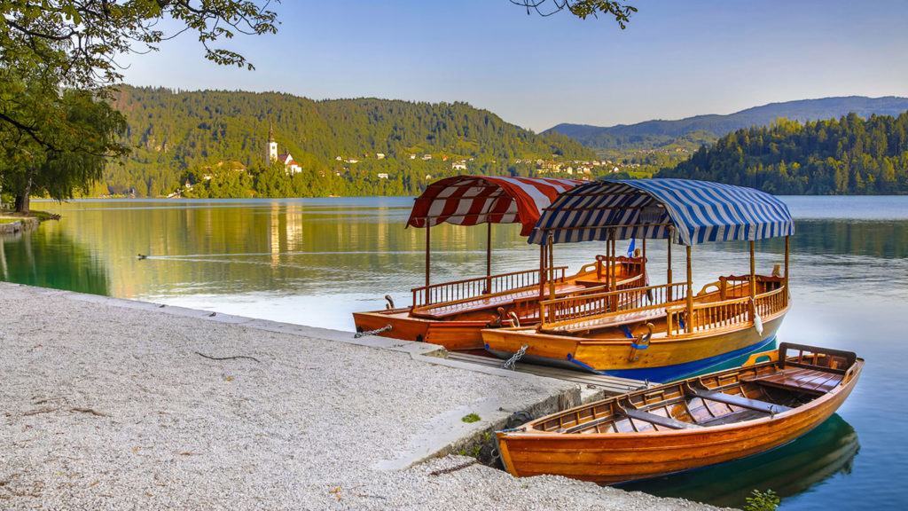 Pletna boats by lake Bled