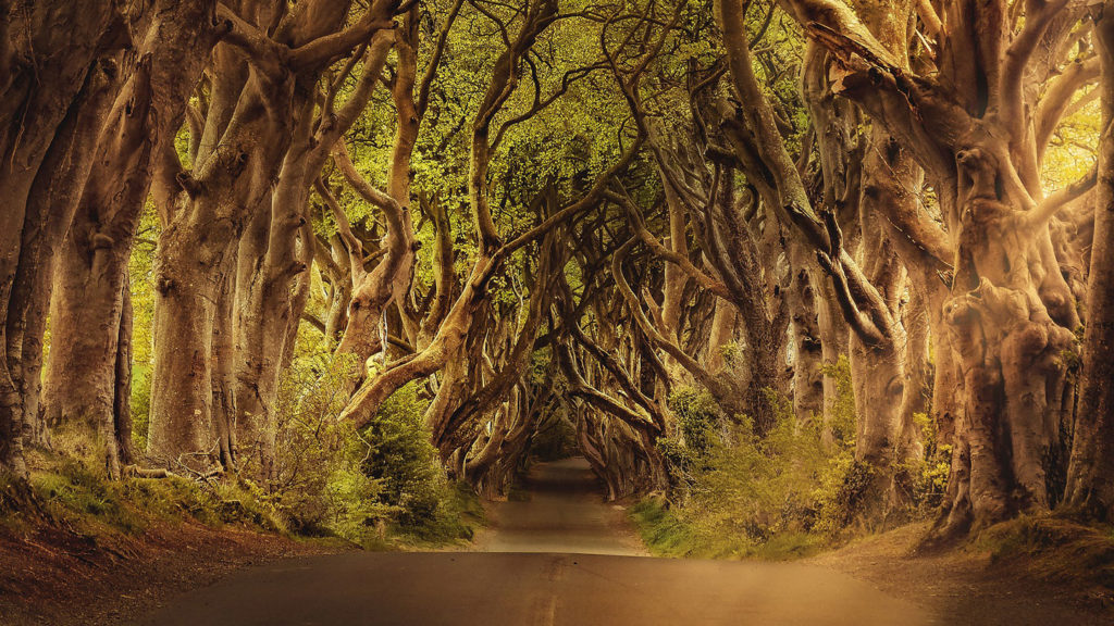 Game of Throne