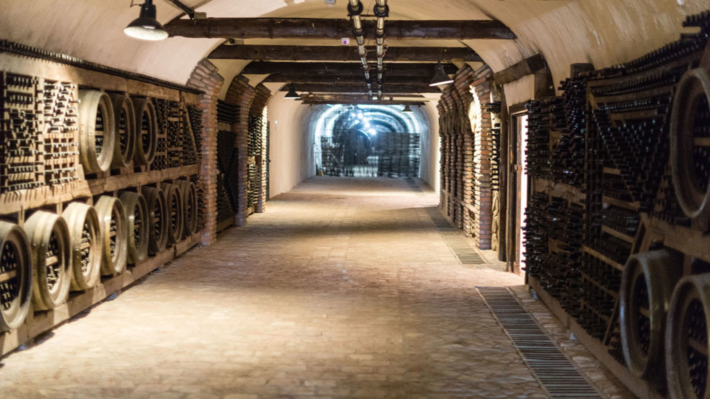 Cellar
