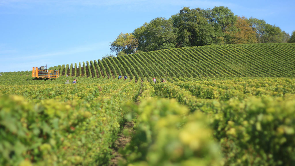 winery - bulgaria