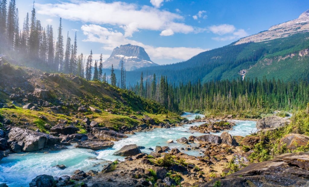 National park with trees and lake