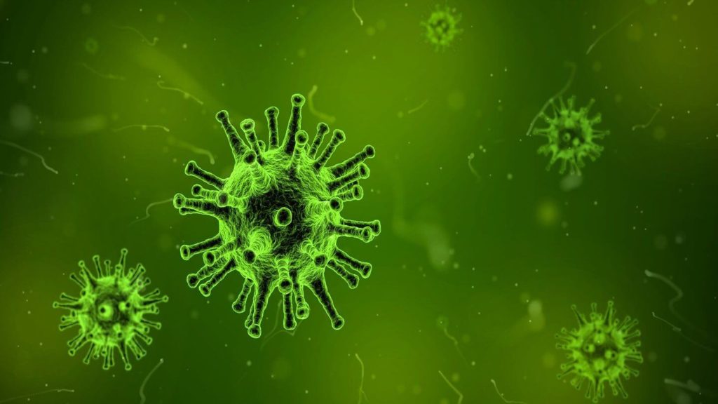 virus pathogens