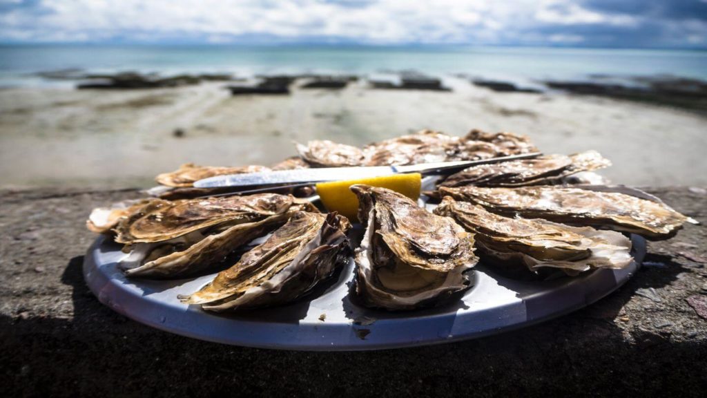freshly shucked oysters on the beach Bay of Fires Tasmania