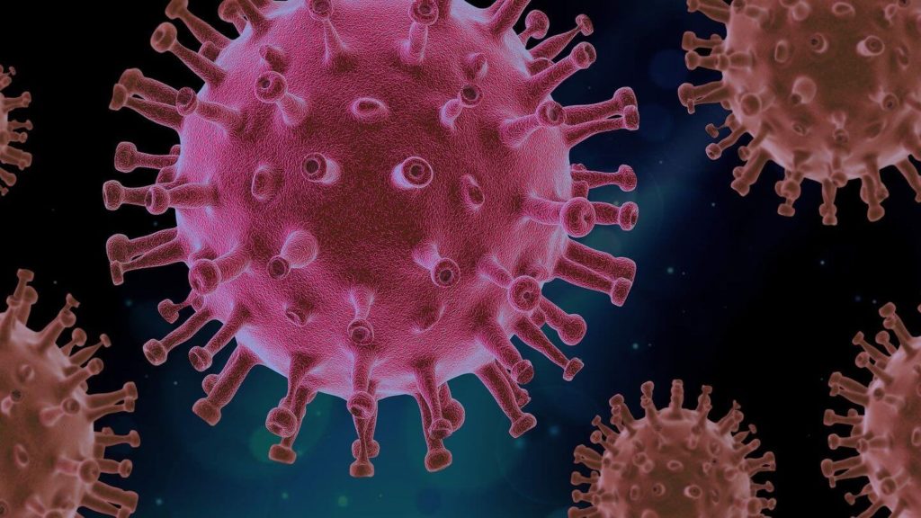 virus pathogens prioritise your health travel health tips
