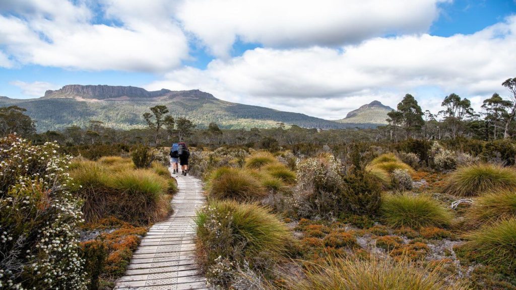 people hiking Overland Track Tasmania bushland