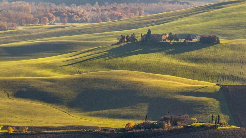 green and gold fields Tuscan Hills Italy