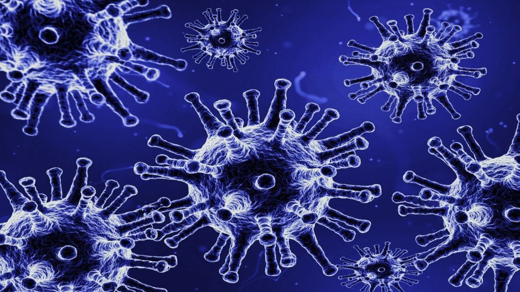 virus pathogens hygiene practices